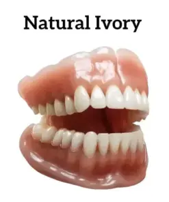 𝐇𝐢𝐝𝐨𝐧𝐞® – Advanced Customized Full Denture Set